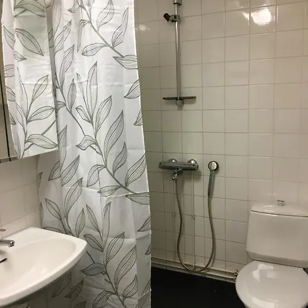 Kaksio Saunalla Daire Äänekoski